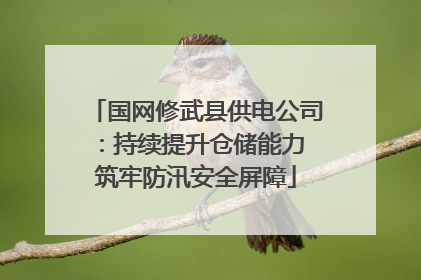 国网修武县供电公司：持续提升仓储能力 筑牢防汛安全屏障