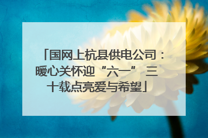 国网上杭县供电公司：暖心关怀迎“六一” 三十载点亮爱与希望