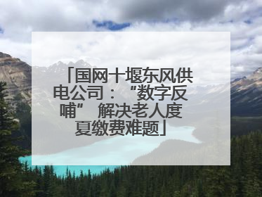 国网十堰东风供电公司：“数字反哺” 解决老人度夏缴费难题