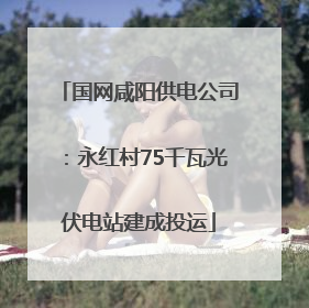 国网咸阳供电公司：永红村75千瓦光伏电站建成投运