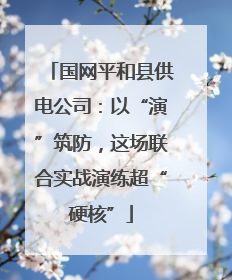 国网平和县供电公司：以“演”筑防，这场联合实战演练超“硬核”