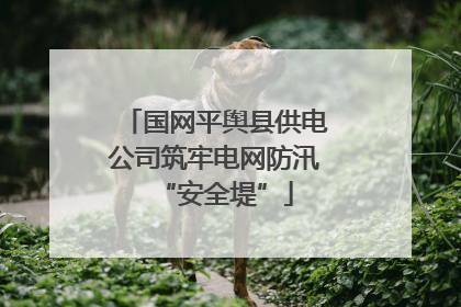 国网平舆县供电公司筑牢电网防汛“安全堤”