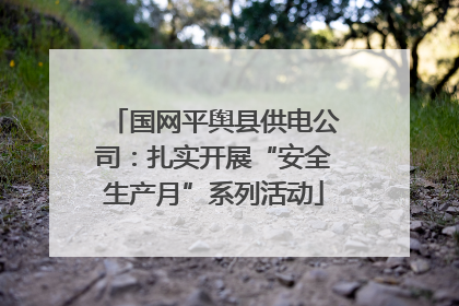 国网平舆县供电公司：扎实开展“安全生产月”系列活动