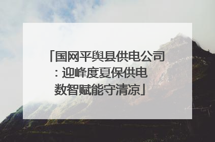 国网平舆县供电公司：迎峰度夏保供电  数智赋能守清凉