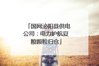国网泌阳县供电公司：电力护航夏粮颗粒归仓