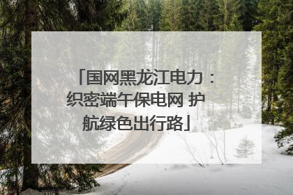 国网黑龙江电力：织密端午保电网 护航绿色出行路