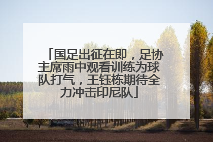 国足出征在即，足协主席雨中观看训练为球队打气，王钰栋期待全力冲击印尼队