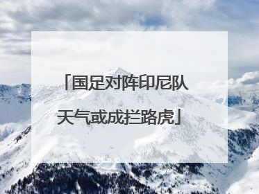 国足对阵印尼队 天气或成拦路虎