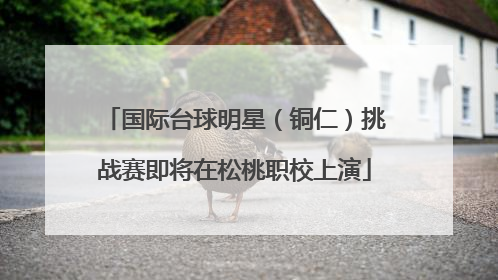 国际台球明星（铜仁）挑战赛即将在松桃职校上演