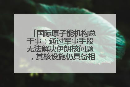 国际原子能机构总干事：通过军事手段无法解决伊朗核问题，其核设施仍具备相关产能，只需要数月就能生产出浓缩铀
