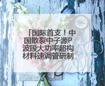 国际首支！中国散裂中子源P波段大功率超构材料速调管研制成功