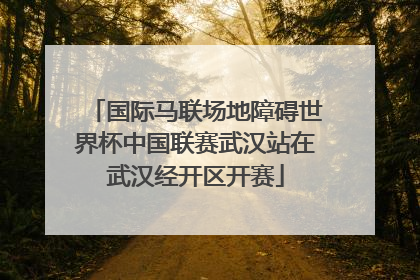 国际马联场地障碍世界杯中国联赛武汉站在武汉经开区开赛