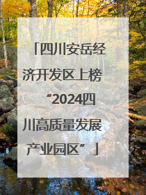 四川安岳经济开发区上榜“2024四川高质量发展产业园区”