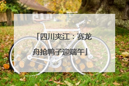 四川夹江：赛龙舟抢鸭子迎端午