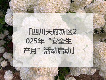 四川天府新区2025年“安全生产月”活动启动