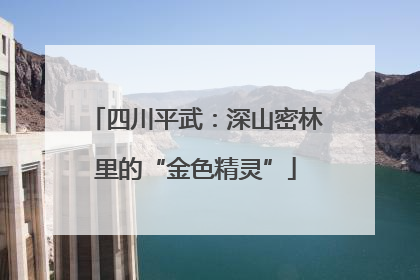 四川平武：深山密林里的“金色精灵”