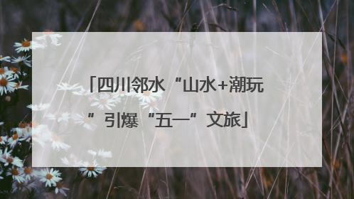 四川邻水“山水+潮玩”引爆“五一”文旅