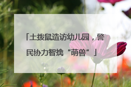 土拨鼠造访幼儿园，警民协力智擒“萌兽”