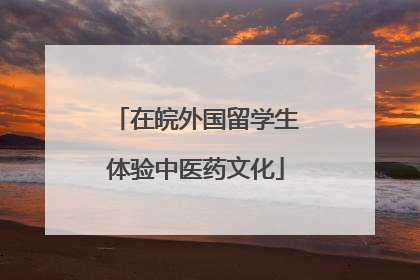 在皖外国留学生体验中医药文化