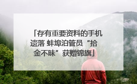 存有重要资料的手机遗落 蚌埠泊管员“拾金不昧”获赠锦旗