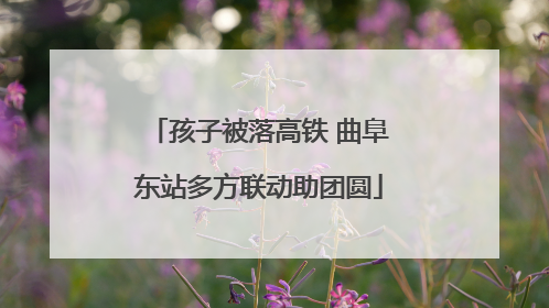孩子被落高铁 曲阜东站多方联动助团圆