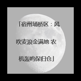 宿州埇桥区：风吹麦浪金满地 农机轰鸣保归仓