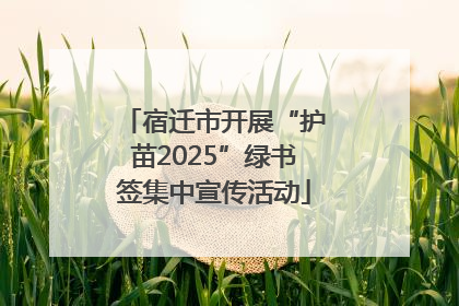 宿迁市开展“护苗2025”绿书签集中宣传活动