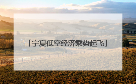 宁夏低空经济乘势起飞