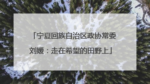 宁夏回族自治区政协常委刘媛：走在希望的田野上