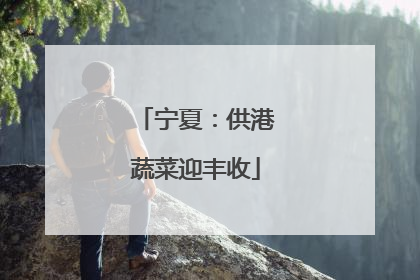 宁夏：供港蔬菜迎丰收