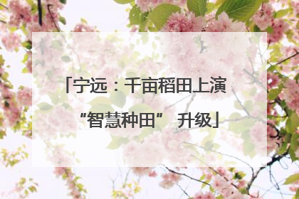 宁远：千亩稻田上演 “智慧种田” 升级