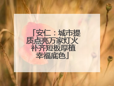 安仁：城市提质点亮万家灯火 补齐短板厚植幸福底色