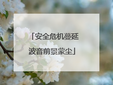 安全危机蔓延 波音前景蒙尘