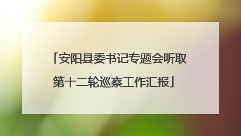 安阳县委书记专题会听取第十二轮巡察工作汇报