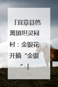 宜章县笆篱镇坦灵祠村：金银花开摘“金银”