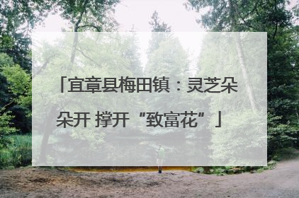 宜章县梅田镇：灵芝朵朵开 撑开“致富花”