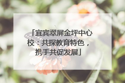 宜宾翠屏金坪中心校：共探教育特色，携手共促发展