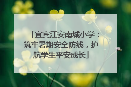 宜宾江安南城小学：筑牢暑期安全防线，护航学生平安成长