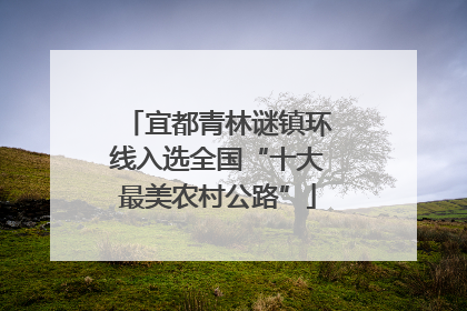 宜都青林谜镇环线入选全国“十大最美农村公路”