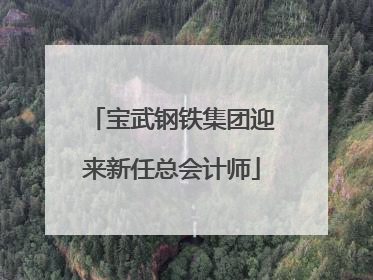 宝武钢铁集团迎来新任总会计师