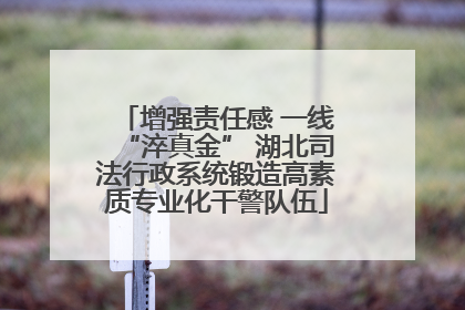 增强责任感 一线“淬真金” 湖北司法行政系统锻造高素质专业化干警队伍