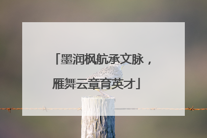 墨润枫航承文脉，雁舞云章育英才