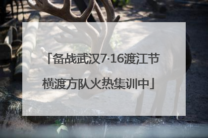 备战武汉7·16渡江节 横渡方队火热集训中