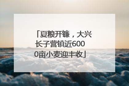 夏粮开镰，大兴长子营镇近6000亩小麦迎丰收