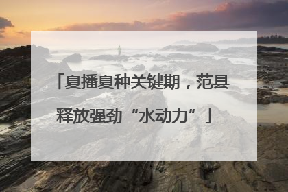 夏播夏种关键期，范县释放强劲“水动力”