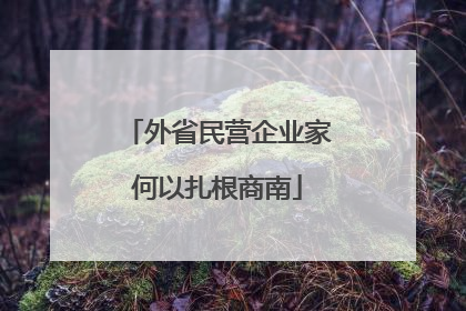 外省民营企业家何以扎根商南