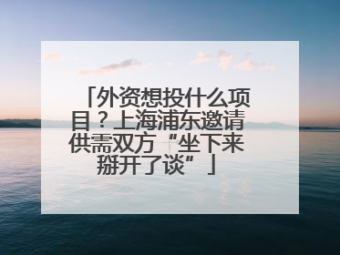 外资想投什么项目？上海浦东邀请供需双方“坐下来掰开了谈”