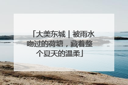 大美东城｜被雨水吻过的荷塘，藏着整个夏天的温柔