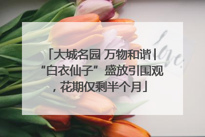 大城名园 万物和谐│“白衣仙子”盛放引围观，花期仅剩半个月
