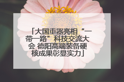 大国重器亮相“一带一路”科技交流大会 德阳高端装备硬核成果彰显实力